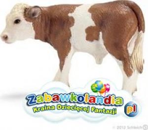 Powiększ