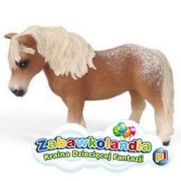 Powiększ
