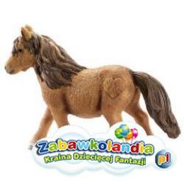Powiększ