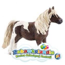 Powiększ