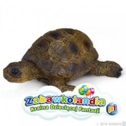 Powiększ