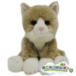 Powiększ