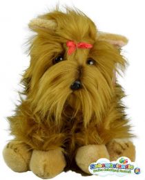 Powiększ