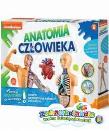 Powiększ