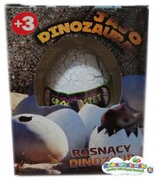 Powiększ