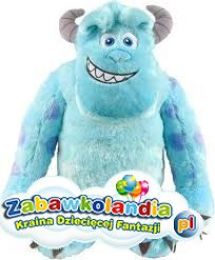 Powiększ