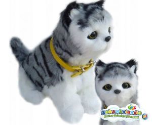 Powiększ