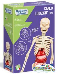 Powiększ