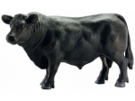 Schleich: Farm Life: Angus czarny byk FIGURKA