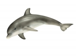 Schleich: Wild Life: Delfin FIGURKA