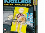 RUSSELL ANATOMIA KLATKA PIERSIOWA BIOLOGIA 4M