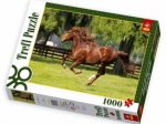 Puzzle 1000el.-Galop